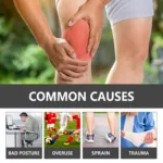 Knee and Back Massage Cream Joint Pain Relief Gel Knee Joint Repair Cream Lumbar Spine Repair Massage Personal Health Care - Image 3