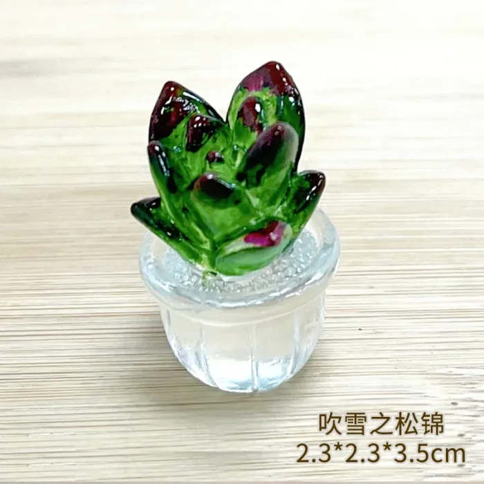 Creative Simulation Cactus Plant Decor Transparent Fleshy Car Computer Decoration Ornaments Decorative Crafts Home Accessories - Image 19