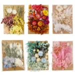 Home Decoration Natural Dried Pressed Flowers For Handmade Crafts wers Leaves Bulk For DIY Candles Epoxy Resin - Image 4