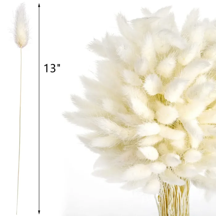 Bunny Tails Dried Flowers,White Natural Dry Pampas,Eternal Rabbit Tails Grass for Vase,Arrangement Wedding,Home,Hotel Decoration - Image 6