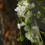 Artificial Flowers 100cm Snow Willow Wedding Flower Silk Texture American Pastoral Style Living Room Decoration Diy Props - Image 6