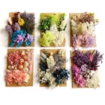 Home Decoration Natural Dried Pressed Flowers For Handmade Crafts wers Leaves Bulk For DIY Candles Epoxy Resin - Image 3