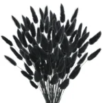 Bunny Tails Dried Flowers,White Natural Dry Pampas,Eternal Rabbit Tails Grass for Vase,Arrangement Wedding,Home,Hotel Decoration - Image 9