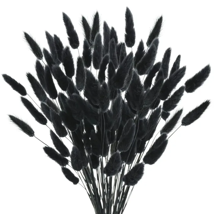 Bunny Tails Dried Flowers,White Natural Dry Pampas,Eternal Rabbit Tails Grass for Vase,Arrangement Wedding,Home,Hotel Decoration - Image 9