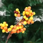 18cm Christmas Decorations Simulated Rich Fruit Festival Decoration New Year Noel Red Berry Branch Living Room Home Decoration - Image 8