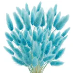 Bunny Tails Dried Flowers,White Natural Dry Pampas,Eternal Rabbit Tails Grass for Vase,Arrangement Wedding,Home,Hotel Decoration - Image 16