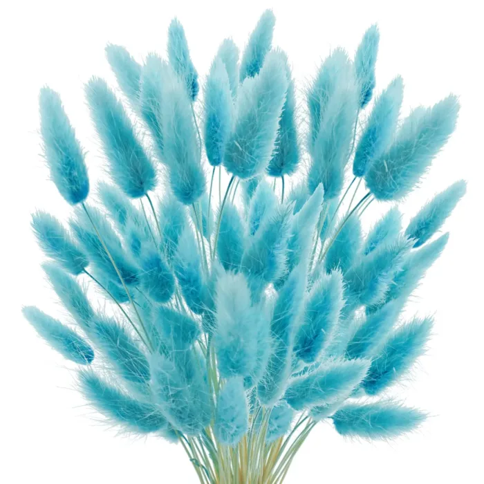 Bunny Tails Dried Flowers,White Natural Dry Pampas,Eternal Rabbit Tails Grass for Vase,Arrangement Wedding,Home,Hotel Decoration - Image 16