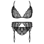 Lace Women Lingerie Set 4 Pcs Sling Open Bra Sexy Wiht Garter Panties Push Up Bra Set Erotic Transparent Underwear Net Stockings - Image 5