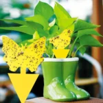 50-10Pcs Sticky Traps Fruit Fly Trap Yellow Sticky Bug Trap for Indoor Outdoor Use Insect Pest Control Garden Strong Glue Plant - Image 6