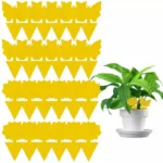 12 Pcs Fly Trap Gnats Insect Sticky Traps Dual Sided Fly Catcher Plant Yellow Pest Control Strong Glue For Aphids Mosquitoes - Image 3