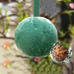 3pcs/1pc Courtyard Orchard Fly Capture Fruit Flies Catcher Non-toxic Rescue Big Fruit Fly Trap Ball Ball Insect Trap - Image 3