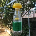 1/2PCS Fruit Killer Plastic Yellow Drosophila Trap Fly Catcher Pest Insect Control For Home Farm 6*6*2Cm - Image 3