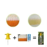 1/2PCS Fruit Killer Plastic Yellow Drosophila Trap Fly Catcher Pest Insect Control For Home Farm 6*6*2Cm - Image 6