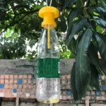 1/2PCS Fruit Killer Plastic Yellow Drosophila Trap Fly Catcher Pest Insect Control For Home Farm 6*6*2Cm - Image 5