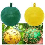 3pcs/1pc Courtyard Orchard Fly Capture Fruit Flies Catcher Non-toxic Rescue Big Fruit Fly Trap Ball Ball Insect Trap