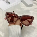 New Fashion Cat Eye Sunglasses Female Luxury Brand Designer Sun Glasses for Women Travelling Sun Shades Glasse y2k Gafas De Sol - Image 8