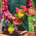 12 Pcs Fly Trap Gnats Insect Sticky Traps Dual Sided Fly Catcher Plant Yellow Pest Control Strong Glue For Aphids Mosquitoes - Image 5