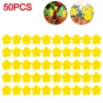 50-10Pcs Sticky Traps Fruit Fly Trap Yellow Sticky Bug Trap for Indoor Outdoor Use Insect Pest Control Garden Strong Glue Plant - Image 9