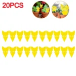 50-10Pcs Sticky Traps Fruit Fly Trap Yellow Sticky Bug Trap for Indoor Outdoor Use Insect Pest Control Garden Strong Glue Plant - Image 22