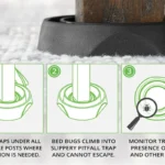 Indoor Home Plastic Pest Control Insect Catcher Bed Bug Trap - Image 4