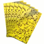 Strong Flies Traps Bugs Sticky Board Catching Aphid Insects Pest Killer Outdoor Fly Trap Aphids Mosquito Fungus Fly Killer Tools - Image 5