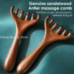 Wooden Meridian Massage Comb Anti-static 6-Claw Head Massager Promote Blood Circulation Body Gua Sha Tool Head Massage Brush