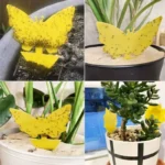 12 Pcs Fly Trap Gnats Insect Sticky Traps Dual Sided Fly Catcher Plant Yellow Pest Control Strong Glue For Aphids Mosquitoes - Image 4