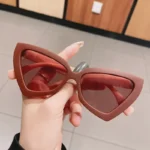 Fashion Cat Eye Sunglass Trendy Female Eyewear Luxury Irregular Frame Popular Women Travelling Sun Glasses Ultraviolet-proof - Image 4