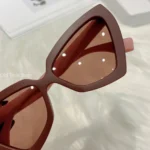 New Fashion Cat Eye Sunglasses Female Luxury Brand Designer Sun Glasses for Women Travelling Sun Shades Glasse y2k Gafas De Sol - Image 6