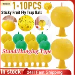 10-1PCS Ball Fruit Fly Catcher Pest Control Sticky Trap Ball for Indoor Outdoor Kitchen Gnat Traps Flying Insects Traps Ball