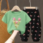 Summer Sets Children's Clothing Girls Kids Toddler Clothes Cute Fashion T-shirt Top Pants 2PCS Baby Girl Clothes - Image 11