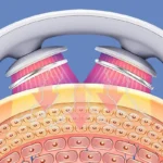Cervical Massager Protable Mini Neck Shoulder Massager Deep Massage Neck Warm Pressing Neck Pressing Care - Image 2