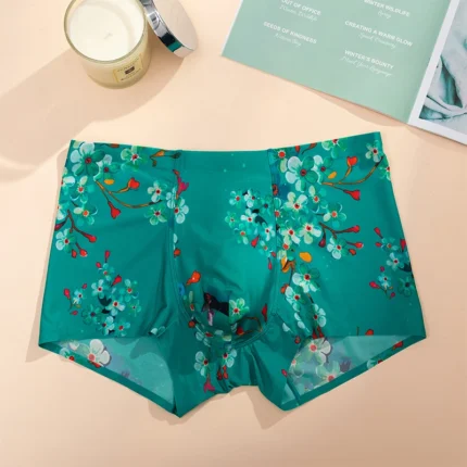 sexy panties Boxers man Men's panties Mens boxer ice silk men underwear thin seamless men underwear printing summer Underpants - Image 3