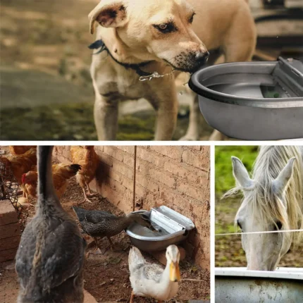 Automatic Water Dispenser for Dog Water, Stainless Steel Drinking Bowl for Farm Livestock Cattle Horse Goat Sheep(Auto-Filling) - Image 6