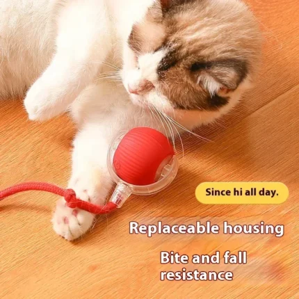Interactive Cat Toys Ball Auto Electric Rolling Ball Toys for Cats/Kitty Pets Smart Automatic Teaser USB Rechargeable - Image 3