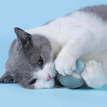 Smart Cat Rolling Ball Toys Rechargeable Cat Toys Ball Motion Ball Self-moving Kitten Toys for Indoor Interactive Playing 고양이 - Image 3