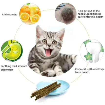 Natural Matatabi Cat Stick Mint Caught Bite Excited Rods Silvervine For Cat Teeth Cleaning Treating Pet Supply Cat Toys - Image 5