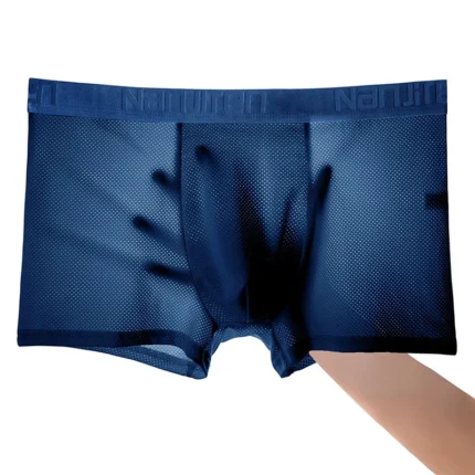 4pcs Ice Silk Mesh Boxer Shorts Men's Underwear Cool Underpant Breathable Sexy Slim Panties Bamboo Lingerie Wholesale Lots L-6XL - Image 6