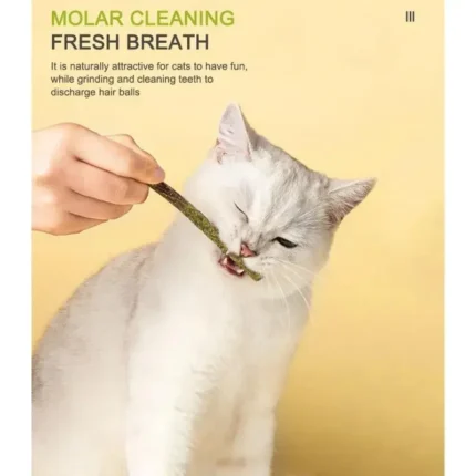 Natural Matatabi Cat Stick Mint Caught Bite Excited Rods Silvervine For Cat Teeth Cleaning Treating Pet Supply Cat Toys - Image 3