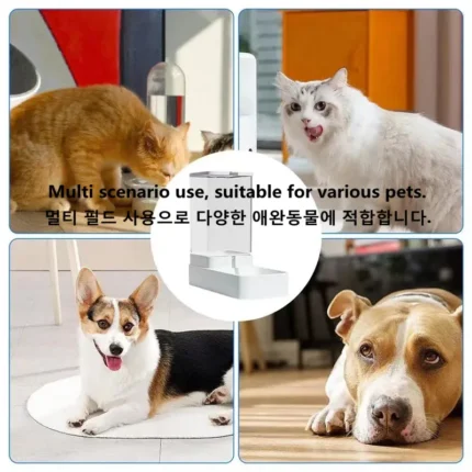 Dog Automatic Feeder Transparent Automatic Gravity Cat Water Bowl High Capacity Food Storage  Container Cat And Dog Accessories - Image 6