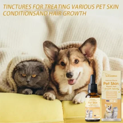Pet Moss Essence Anti-Itch Anti-flea Mites Ticks Spray For Cat And Dog Skin Problems Pet Healthy Care - Image 3