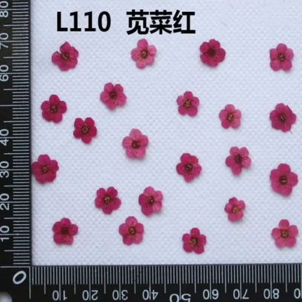 250pcs Mini Pressed Dried Narcissus Jonquilla Flower Plant Herbarium For Epoxy Resin Jewelry Bookmark Postcard Nailart DIY - Image 17
