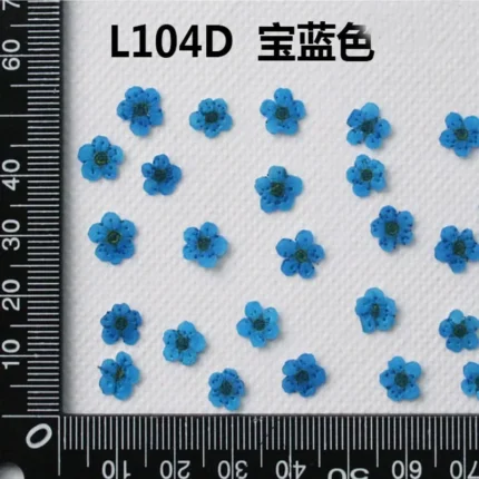 250pcs Mini Pressed Dried Narcissus Jonquilla Flower Plant Herbarium For Epoxy Resin Jewelry Bookmark Postcard Nailart DIY - Image 23