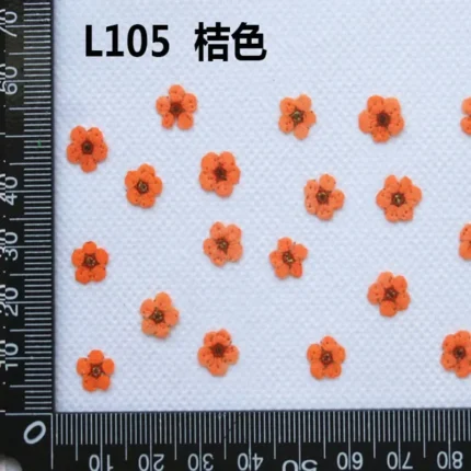 250pcs Mini Pressed Dried Narcissus Jonquilla Flower Plant Herbarium For Epoxy Resin Jewelry Bookmark Postcard Nailart DIY - Image 9