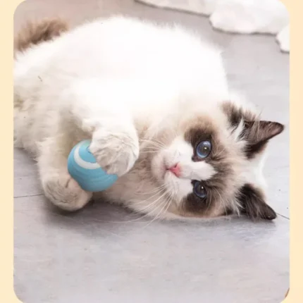 Smart Cat Rolling Ball Toys Rechargeable Cat Toys Ball Motion Ball Self-moving Kitten Toys for Indoor Interactive Playing 고양이 - Image 3