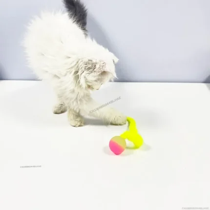 Cat interactive toys Tickle Cat Colorful bouncing ball Pet supplies Puzzle teasing indoor cat worm caterpillar elastic toy - Image 5