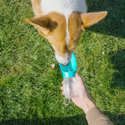 Portable Pet Dog Water Bottle Hiking Outdoor Leakproof Puppy Drinking Bowls for Small Medium Large Dogs Cats Chihuahua Supplies - Image 5