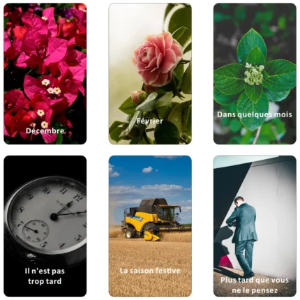 French Tarot Cards, Time Oracle Cards, Divine Timing Oracle Deck, Answers to All Your Timing Related Questions, 12x7cm, 54-Cards - Image 5