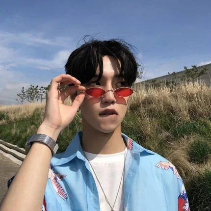 Retro Oval Sunglasses Men's Brand Designer Fashion Vintage Sun Glasses Women oculos de sol Female Shades Glasses UV400 - Image 5