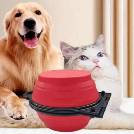 2-in-1 Foldable Outdoor Feeding Bowl for Cat and Dog Portable Pet Drinking Dual Bowl Pet Travel Supplies - Image 3